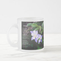 Colorado Rocky Mounains 10 oz Fosco Glass Mug
