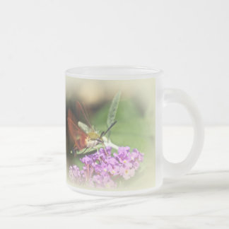 Caneca De Café Vidro Jateado Desentendendo Hawk Moth - Hemaris thysbe