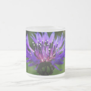 Caneca De Café Vidro Jateado Flor de Centaurea Azul Florescem Paz Amor Destino