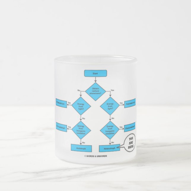 Caneca De Café Vidro Jateado Fluxograma Heterotroph Você Está Aqui Humor Biológ (Centro)