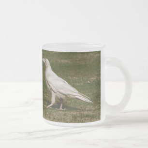 Caneca De Café Vidro Jateado Fotografia Rare White Raven Wildlife