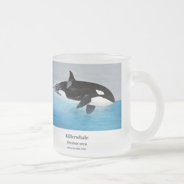 Caneca De Café Vidro Jateado Killerwhale , Orcinus orca (Direita)