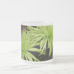 Caneca De Café Vidro Jateado Mãe da aranha