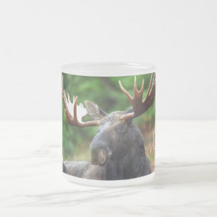 Caneca De Café Vidro Jateado Moose