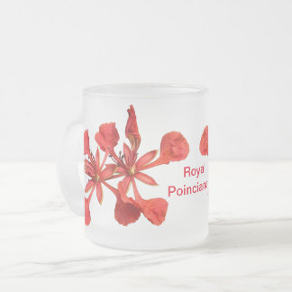 Caneca De Café Vidro Jateado Mug Royal Poinciana Flower