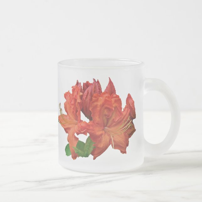 Caneca De Café Vidro Jateado Orange Azalea Blossoms (Direita)