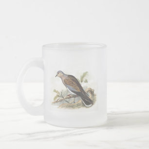 Caneca De Café Vidro Jateado Pombo Rola Streptopelia Pintura Natureza Pássaros