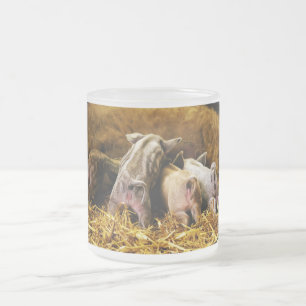 Caneca De Café Vidro Jateado Quatro porcos de Mangalitsa do leitão do bebê qu