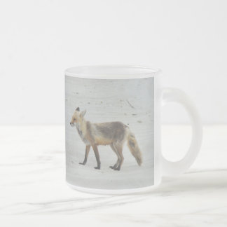 Caneca De Café Vidro Jateado Red Fox Vixen - Island Beach State Park - NJ