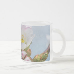 Caneca De Café Vidro Jateado Sakura Blossom