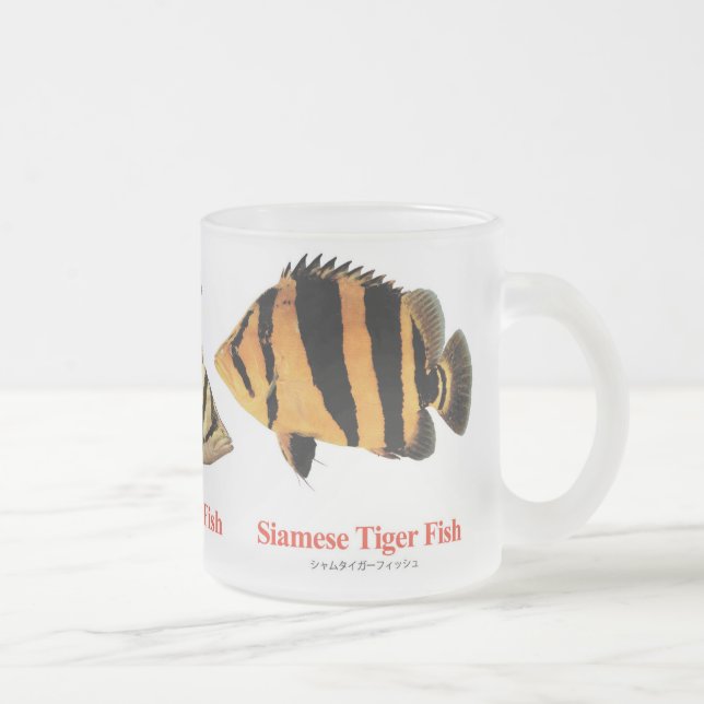 Caneca De Café Vidro Jateado Siamese Tiger fish (Direita)