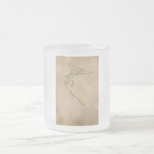 Caneca De Café Vidro Jateado Skimmer Dragonfly Insect Female (CC BY 4.0) Froste