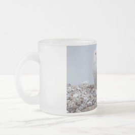 Caneca De Café Vidro Jateado Snowy Owl nas conchas