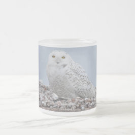 Caneca De Café Vidro Jateado Snowy Owl nas conchas