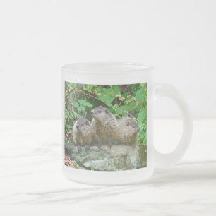 Caneca De Café Vidro Jateado Três Bebês Groundhogs