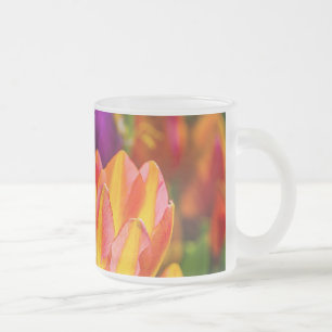 Caneca De Café Vidro Jateado Tulipas Encantando 16