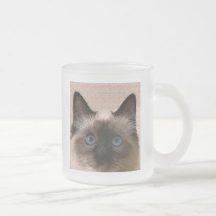 Caneca De Café Vidro Jateado velho do crackle do gato siamese envelhecido
