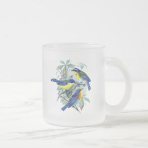 Caneca De Café Vidro Jateado Vintage Floral Songbird Roupa e presentes