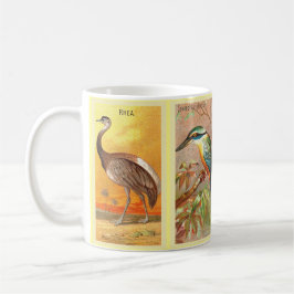 Caneca De Café Vintage 4 Tropical Bird Illustração Saturn Bower