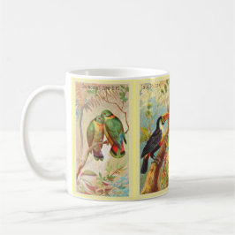 Caneca De Café Vintage 4 Tropical Bird Illustration Swindern Love