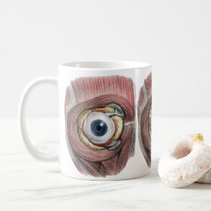 Caneca De Café Vintage Anatomia Humana, Olho Olhal com Músculos
