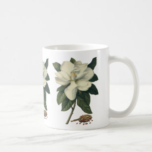 Caneca De Café Vintage Blooming White Magnolia Blossom Flores