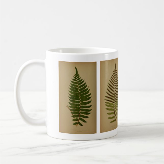 Caneca De Café Vintage Ferns (Esquerda)