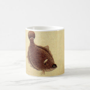 Caneca De Café Vintage Flounders, Marine Ocean Life Flat Fish