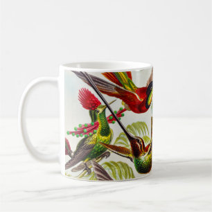 Caneca De Café Vintage Hummingbird por Ernst Haeckel
