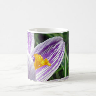 Caneca De Café Violet Primavera Crocus