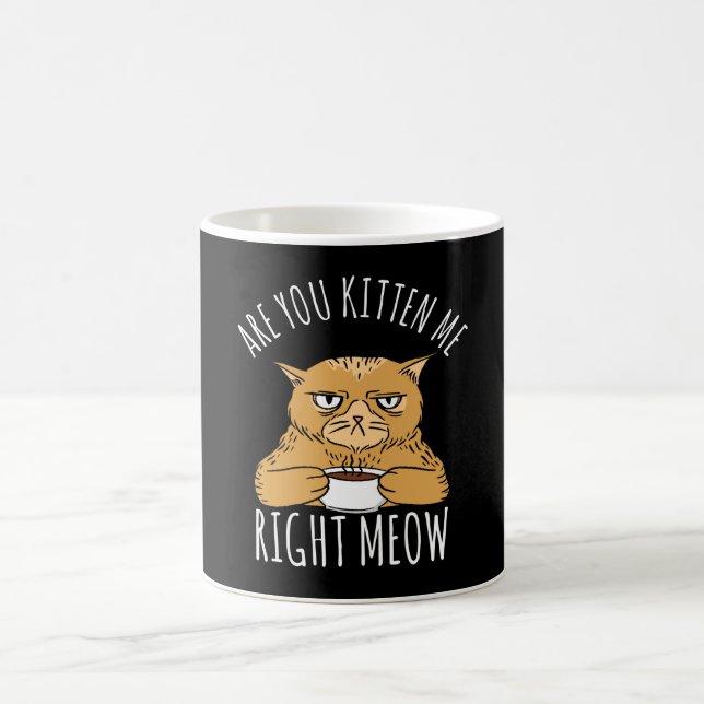 Caneca De Café Você É Gatinho De Maçã Direito? (Centro)