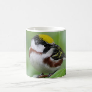 Caneca De Café Warbler Lado-Castanho