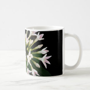 Caneca De Café White Pentas