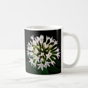 Caneca De Café White Pentas