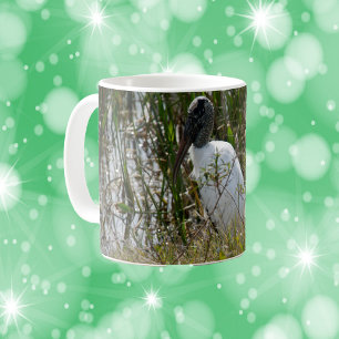 Caneca De Café Wood Stork Bird Florida Wetlands Foto