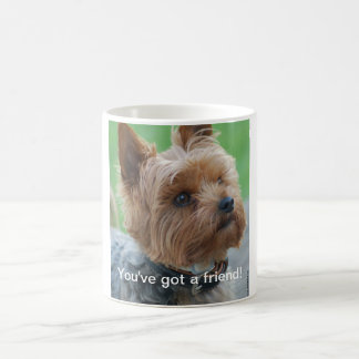 Caneca De Café You've got friend a - Terrier Mug -