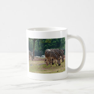 Caneca De Café zebras em um zoológico de animais selvagens