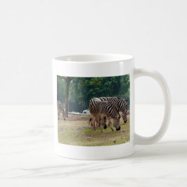 Caneca De Café zebras num zoológico selvagem