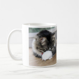 Caneca De Café Zorro Gatinho Tímido