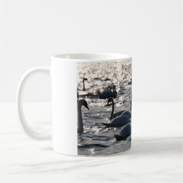 Caneca De Café Zwanen in een groep op het water met glinsterend z