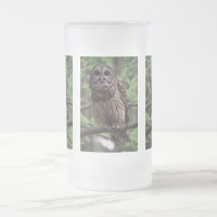 Barred Owl