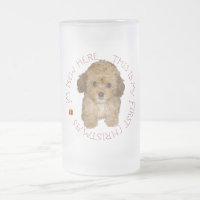 Cavachon Filhote Primeiro Natal