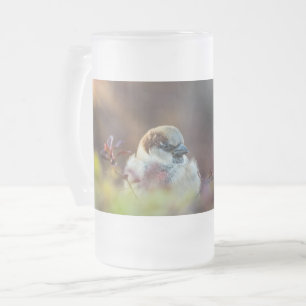 Caneca De Cerveja Vidro Jateado Fosco-Mug da Finca de Banho Solar