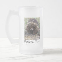 Foto de animal Echidna Cute, australiana