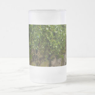 Caneca De Cerveja Vidro Jateado Parede De Vidro De Fosco