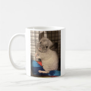 Caneca de Chinchilla