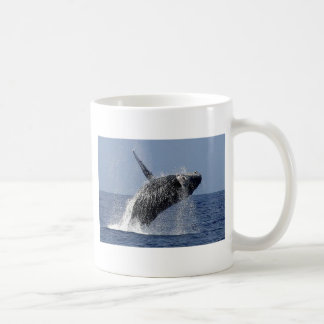 Caneca de Coofee da baleia de Humpback