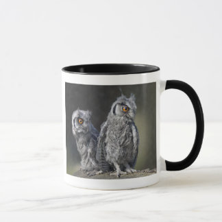 Caneca de Corujas Bebês