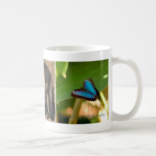 Caneca de Costa Rica