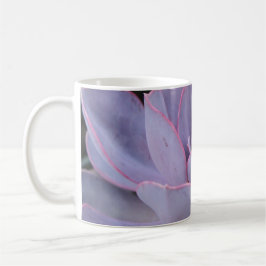 Caneca de Echeveria "Perle von Nurnberg"